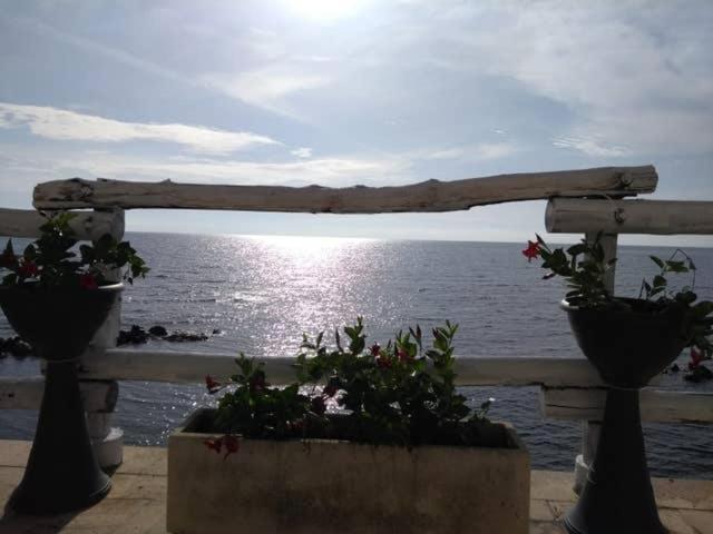 Al Chiaro Di Luna Resort Borgo Pantano Εξωτερικό φωτογραφία